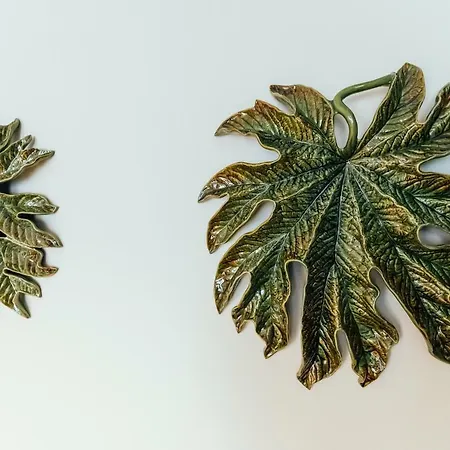 Bordallo's Prime Апартаменты Калдаш-да-Раинья